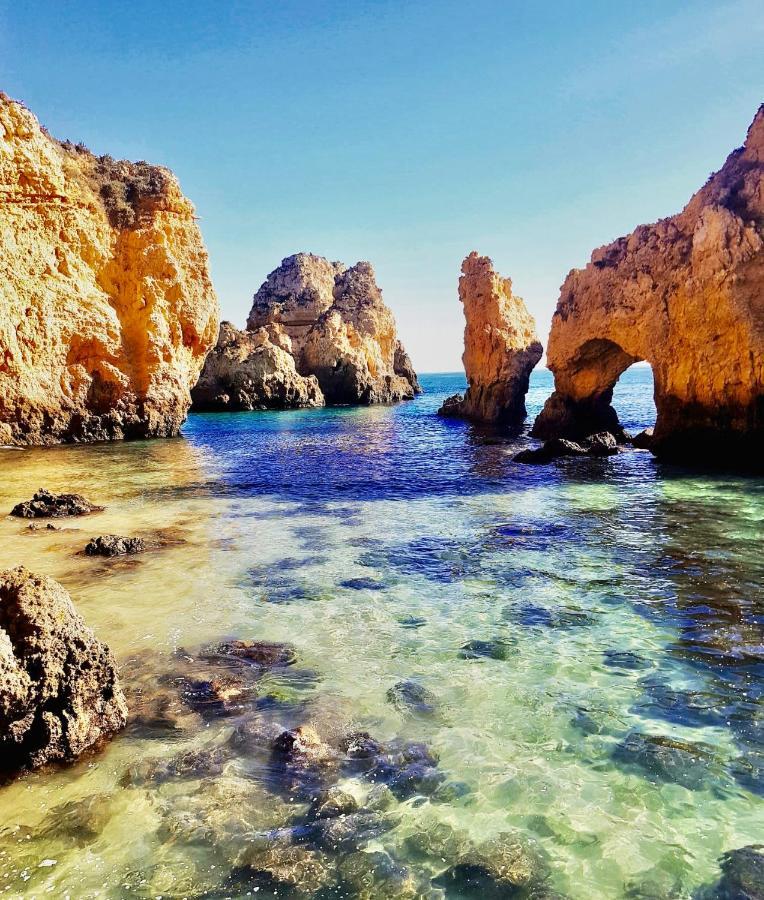 ローレ Private Oasis In Algarve With Pool & Fruit Gardenヴィラ エクステリア 写真